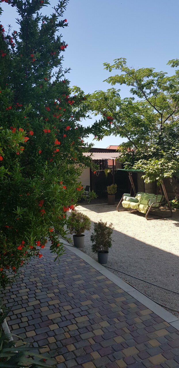 Гостевой дом Лимон Судак-61