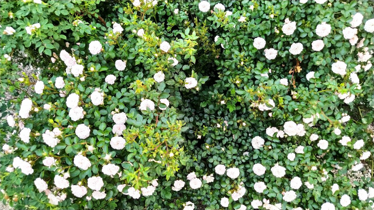 Гостевой дом Лимон Судак-27