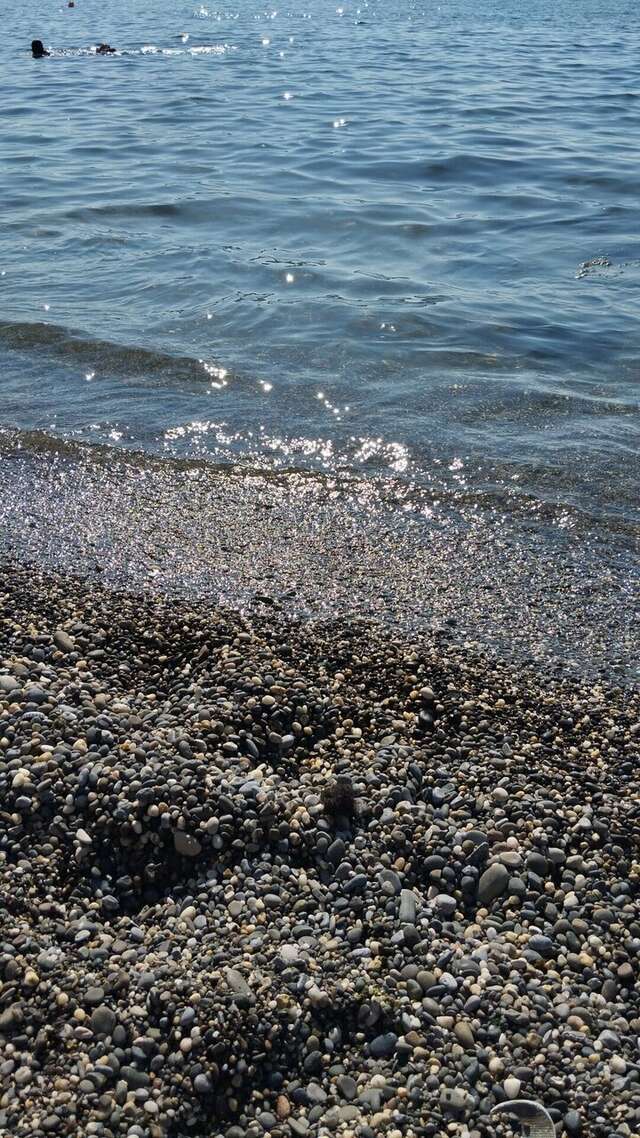 Гостевой дом Лимон Судак-44